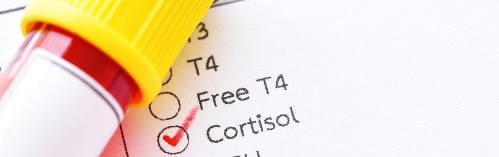Obesity and chronic stress: how do hormones influence your weight ...
