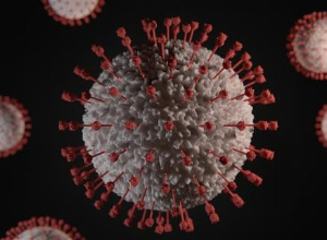 Castleman disease and HIV: A focused look at the HHV-8 virus