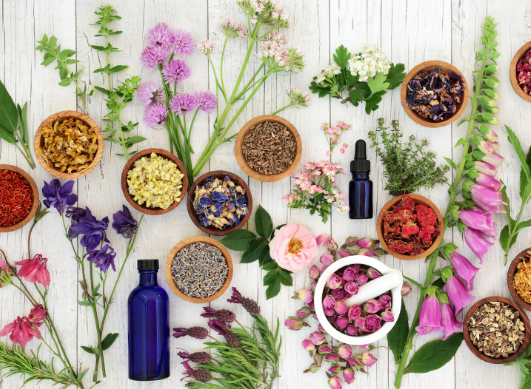 What are the benefits of herbal medicine for multiple sclerosis?