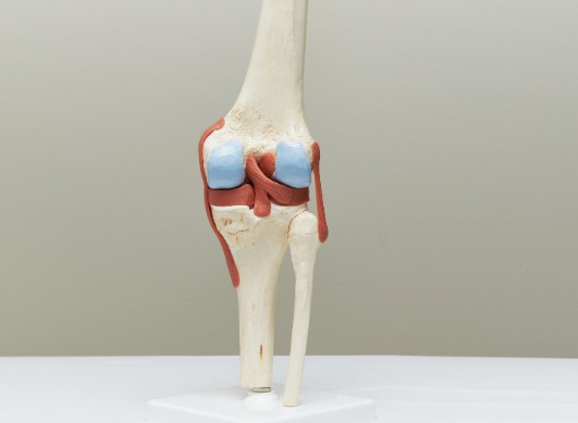 Osteoarthritis: Which parts of the body can be affected?