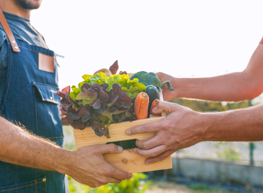 Why eat local and seasonal food this fall?