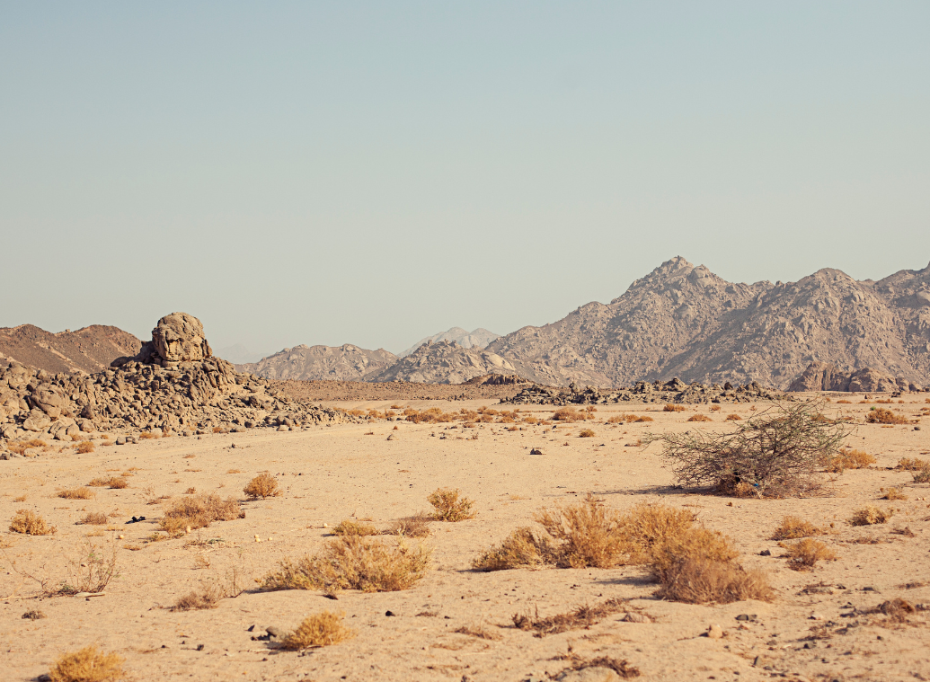 When geography determines your health: living with a rare disease far from specialized centers