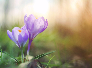 Finding serenity after a fibromyalgia diagnosis