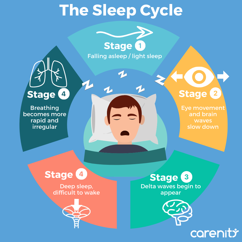 The Science of Sleep: Understanding What Happens When You Sleep