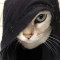avatar Bobbert85